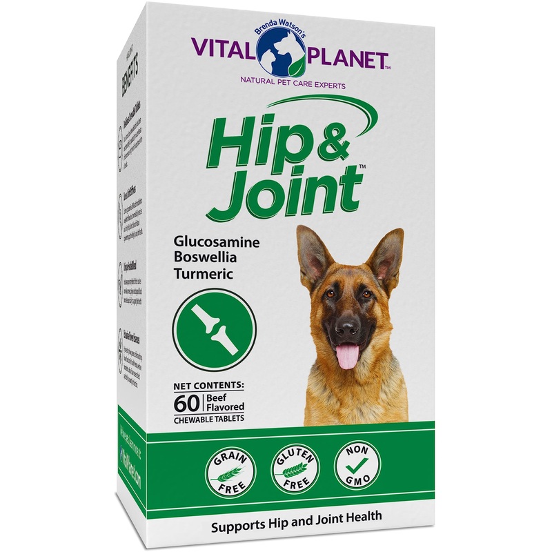 Vital Planet – Natural Hip and Joint Supplement for Dogs – Potent Herbal Blend with Green Lipped Mussel, MSM and Glucosamine Beef Flavor (60 Chewable Tabs)