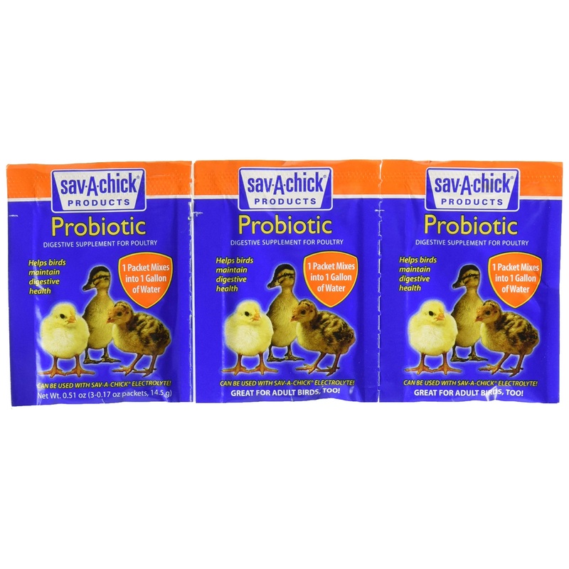 9 Probiotic Supplements-(3 Packages with 3 Packets, 3 Count (Pack of 3)