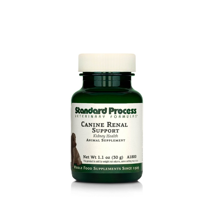 Standard Process – Canine Renal Support – Kidney Health for Dogs – 30 Grams 30 Grams (Pack of 1)