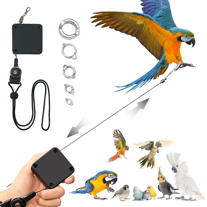 Retractable Bird Leash,Parrot Flying Rope,Anti-Bite Wire Rope Parrot Leash,Adjustable Bird Leash Harness for Training,with 5pcs Alloy Foot Rings,for Budgies,Cockatiels,Crested Cockatoo,Macaws,20ft