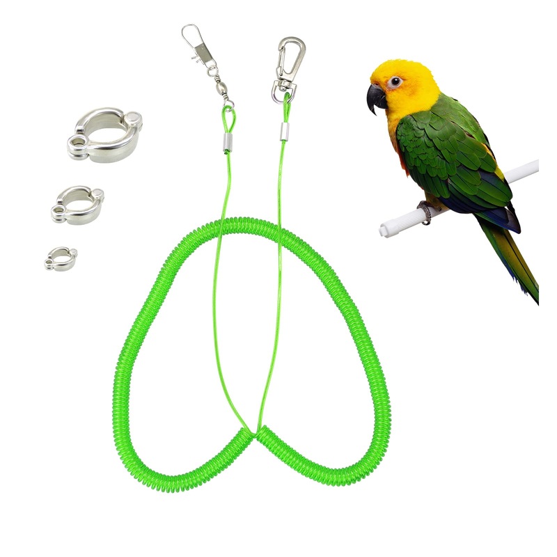 Wishlotus Parrot Flying Rope, 5 Meters Parrot Foot Chain Flying Training Leash OutdoorAnti-Bite Elastic String Training Harness for Agapornis Fischeri Cockatiels Starling Birds (Green) green